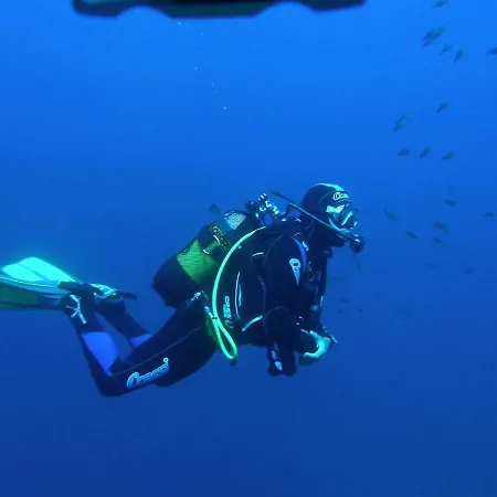 Apartament Central Appartement *