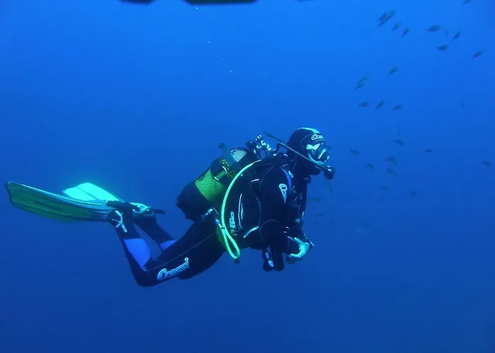 Apartament Central Appartement *